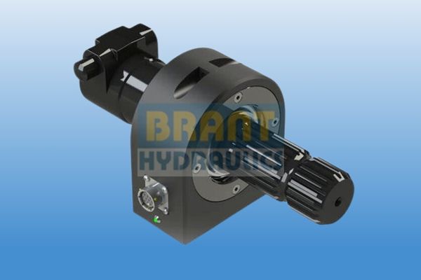 Rotary torque transducer