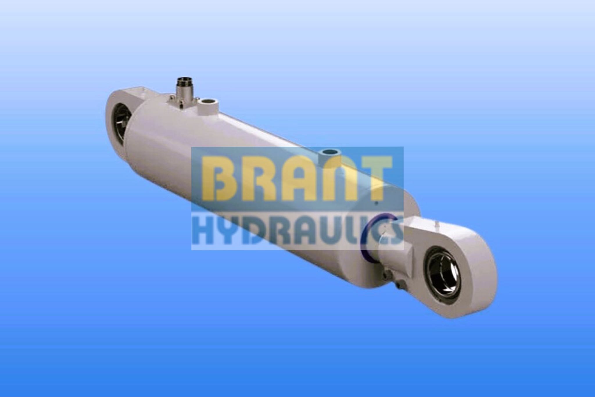 hydraulic cylinder for heavy equipment